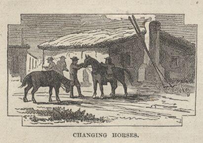 Changing Horses