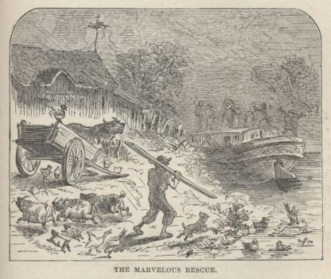 The Marvelous Rescue