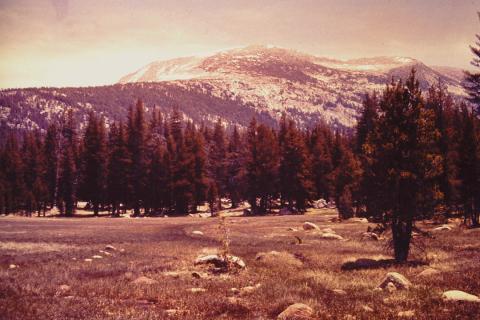 Mammoth Peak from near Tuolumne Meadows