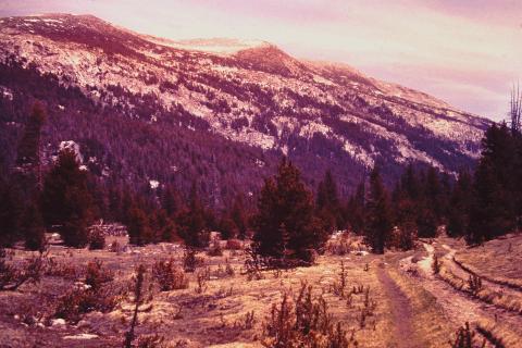 Entering Lyell Canyon