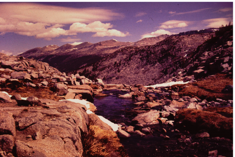 Kuna Crest from Lyell Canyon