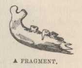 A Fragment