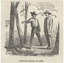 Eleven Miles to See
