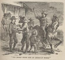You Might Think Him an American Horse