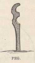 Peg