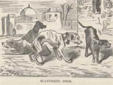 Slandered Dogs