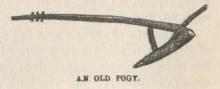 An Old Fogy