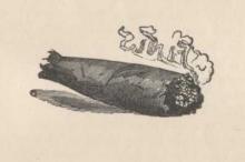Cigar